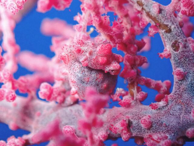 10月20日の海 | Kanaloa